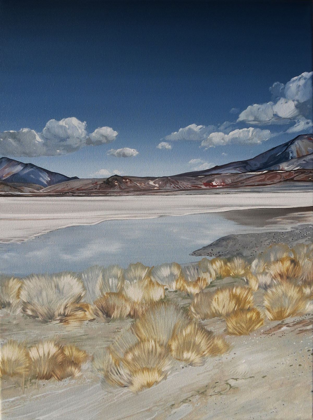 Atacama no.8, 2016 | Oil painting on canvas | 610 x 450mm